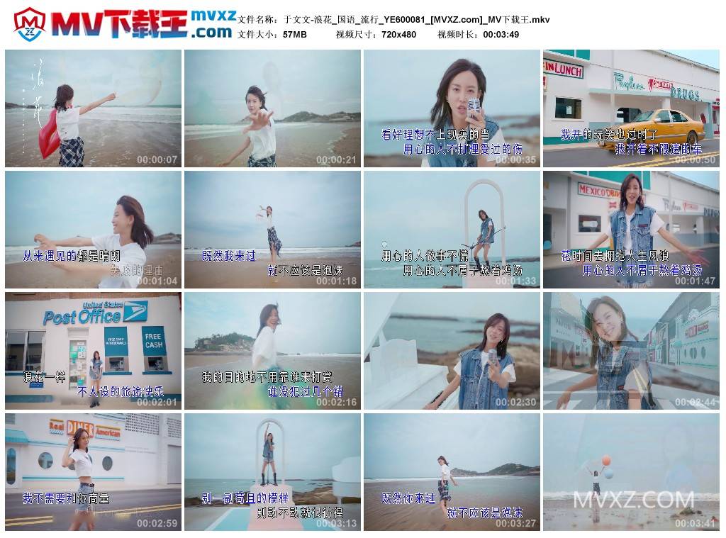 于文文-浪花_国语_流行_YE600081